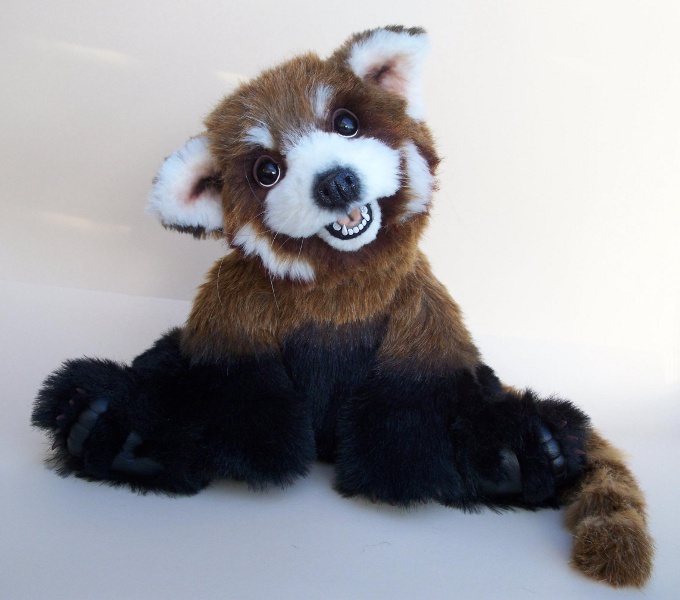 Little Red Panda 2